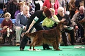 Crufts2011 791